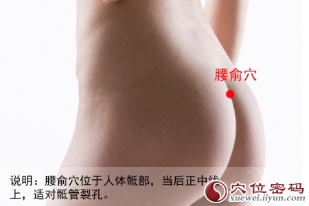 女性人体穴位图解大全【背面高清图下载】