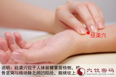 经渠穴的准确位置图 经渠穴的准确位置图