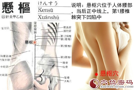 女性人体穴位图解大全【背面高清图下载】