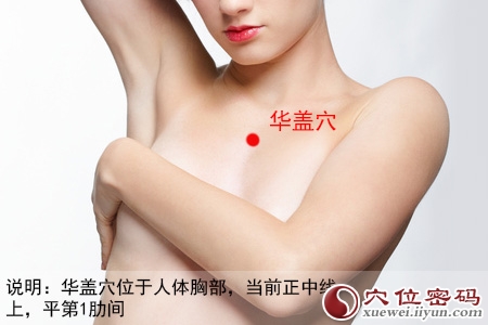 女性人体穴位图解大全【正面高清图下载】