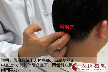 女性人体穴位图解大全【背面高清图下载】