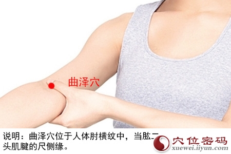 曲泽穴的准确位置图