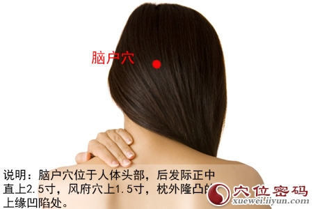 女性人体穴位图解大全【背面高清图下载】