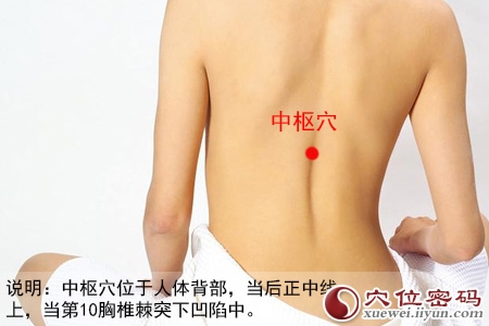 女性人体穴位图解大全【背面高清图下载】