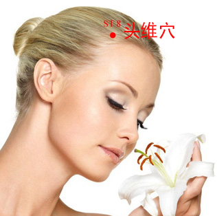 足阳明胃经穴位图