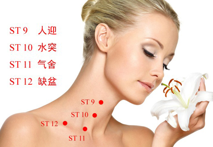 足阳明胃经穴位图