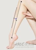 足阳明胃经穴位图