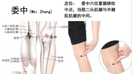 足太阳膀胱经穴位图