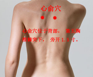 足太阳膀胱经穴位图