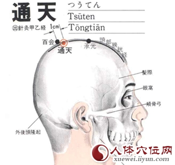 足太阳膀胱经穴位图