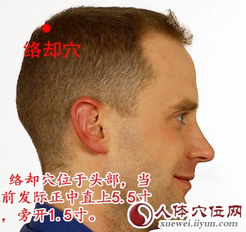 足太阳膀胱经穴位图