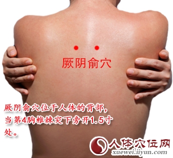 足太阳膀胱经穴位图