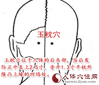 足太阳膀胱经穴位图