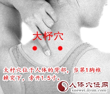 足太阳膀胱经穴位图