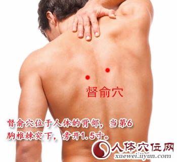 足太阳膀胱经穴位图