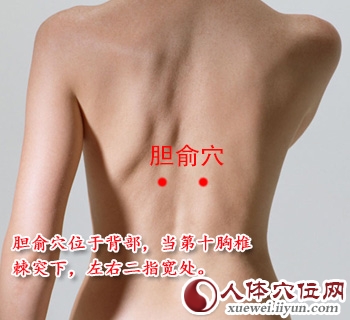 足太阳膀胱经穴位图