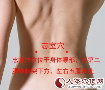 足太阳膀胱经穴位图
