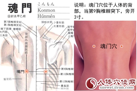 足太阳膀胱经穴位图