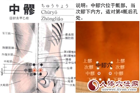 足太阳膀胱经穴位图