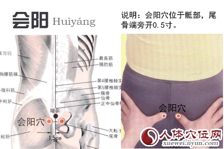 足太阳膀胱经穴位图