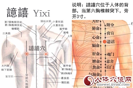 足太阳膀胱经穴位图