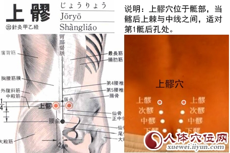 足太阳膀胱经穴位图