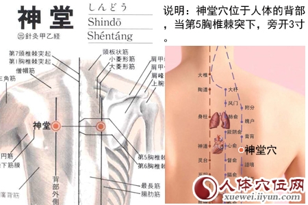 足太阳膀胱经穴位图