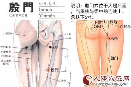 足太阳膀胱经穴位图