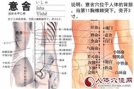 足太阳膀胱经穴位图