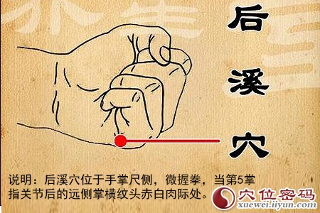 后溪穴的准确位置图