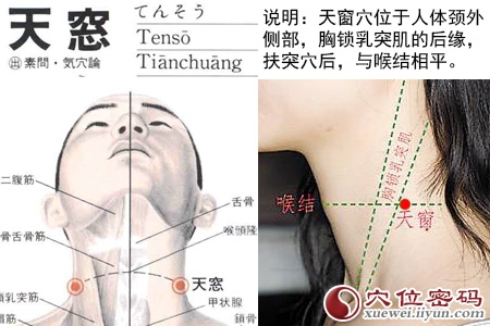 天窗穴的准确位置图