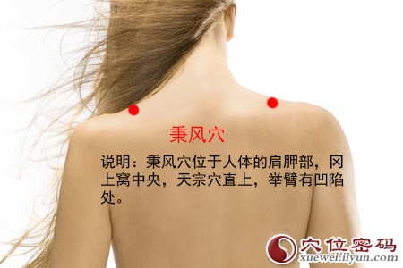 秉风穴的准确位置图