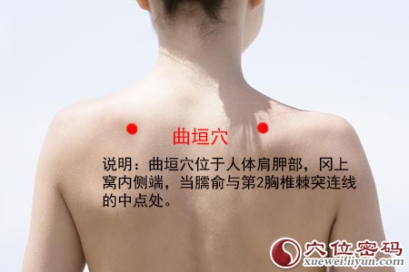 曲垣穴的准确位置图