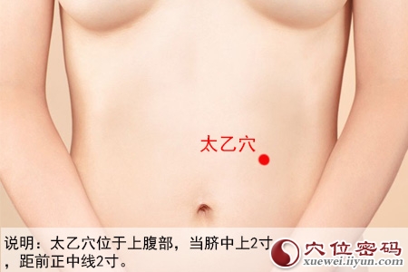 足阳明胃经穴位图