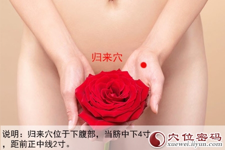 足阳明胃经穴位图