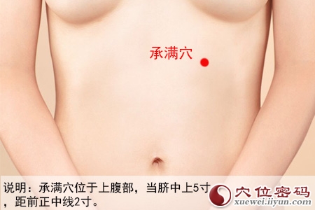 足阳明胃经穴位图