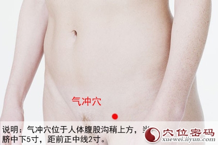 足阳明胃经穴位图