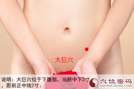 足阳明胃经穴位图