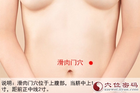 足阳明胃经穴位图