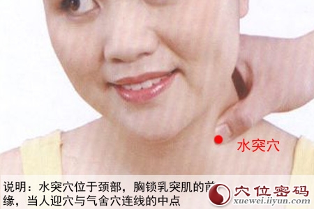 足阳明胃经穴位图