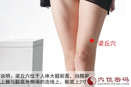 足阳明胃经穴位图