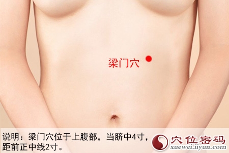 足阳明胃经穴位图