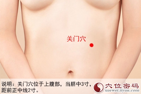 足阳明胃经穴位图