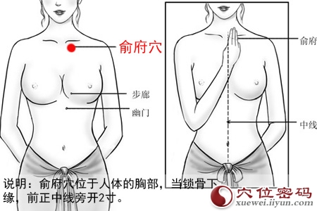 俞府穴的准确位置图