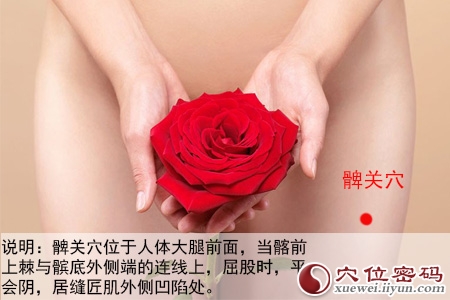 足阳明胃经穴位图