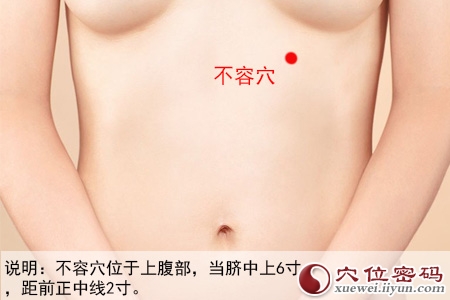 足阳明胃经穴位图