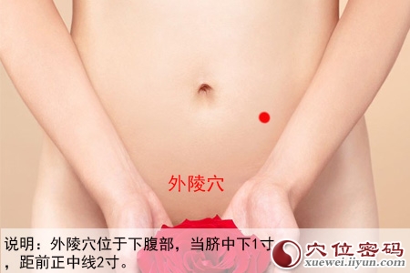 足阳明胃经穴位图