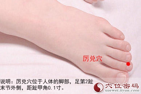 足阳明胃经穴位图